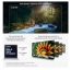 Samsung QE42S90FA 4K Vision AI Smart TV (2025)