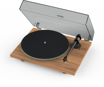 Pro-Ject T1 EVO BT in walnut