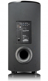 SVS PC-2000 Pro Subwoofer in Black Gloss - back